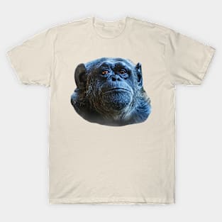 Chimp Eyes T-Shirt